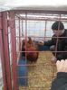 SAM_0419
