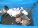 SAM_0420