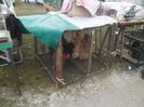 SAM_0424
