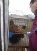 SAM_0425