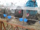 SAM_0426