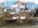 SAM_0427