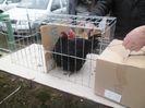 SAM_0432