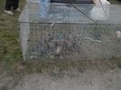 SAM_0433