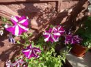 DSC00956