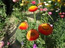 DSC00958