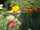 DSC00959