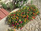 DSC00974