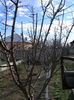 DSCN4532