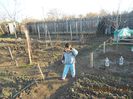 Sefa in inspectie