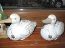 IMG_0034a