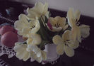 DSC00649