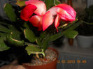 DSCN2768