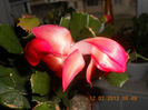 DSCN2769