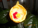 DSCN2760