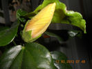 DSCN2763
