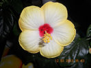 DSCN2764