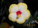 DSCN2765