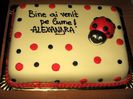 Tort botez