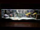 20130306_012250(0)