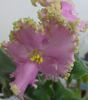 DSC00862