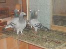 DSCN0688