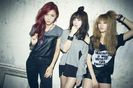 T-ara-Private-Book-4