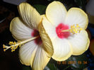 DSCN2773