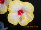 DSCN2775