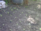 BILD0029