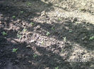BILD0030