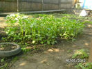 BILD0031