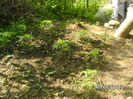 BILD0033