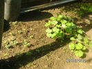 BILD0034