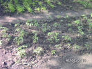 BILD0036