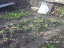 BILD0037