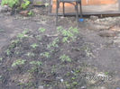 BILD0038