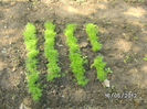 BILD0040