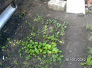 BILD0042