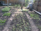 BILD0043