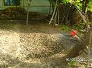 BILD0045