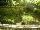 BILD0048