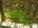 BILD0049