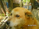 BILD0052