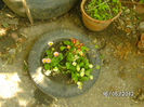 BILD0053