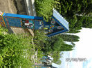 BILD6268