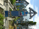BILD6277