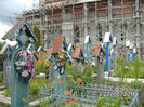 BILD6297