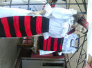 BILD6385
