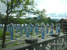 BILD6390